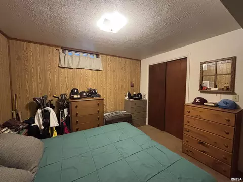 49 Jon St, Metropolis, IL 62960 photo 30