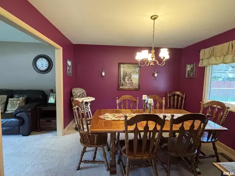 49 Jon St, Metropolis, IL 62960 photo 9