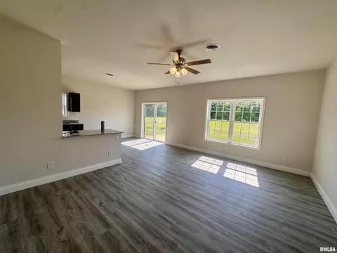 703 Savannah Ave, Herrin, IL 62948 photo 2