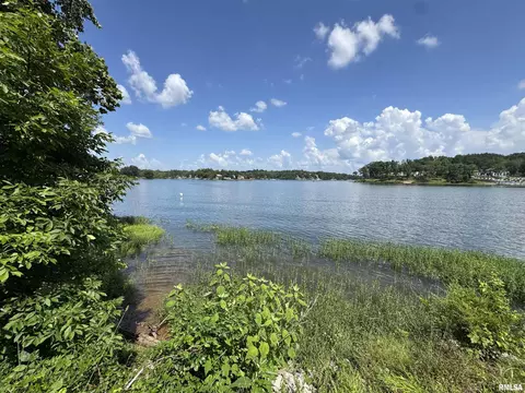 1135 N Lakeshore Dr, Goreville, IL 62939