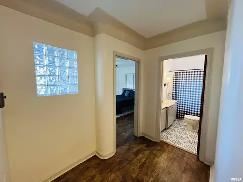 385 3rd St, Omaha, IL 62871 photo 22