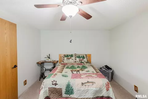 5361 Wards Mill Rd, Marion, IL 62959 photo 15