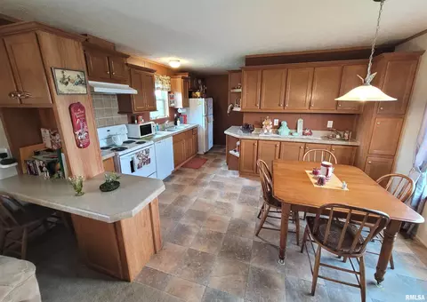 9105 Burkett Rd, Iuka, IL 62849 photo 13