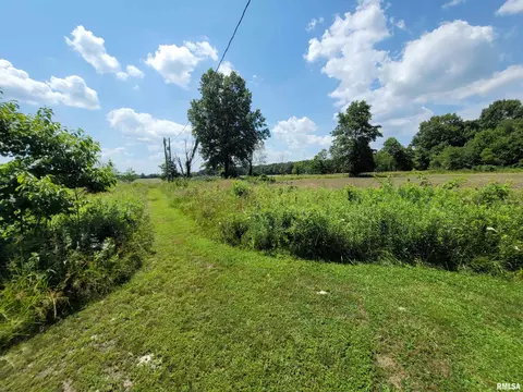 9105 Burkett Rd, Iuka, IL 62849 photo 34