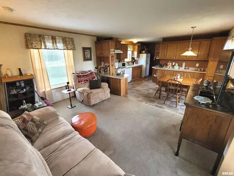 9105 Burkett Rd, Iuka, IL 62849 photo 7