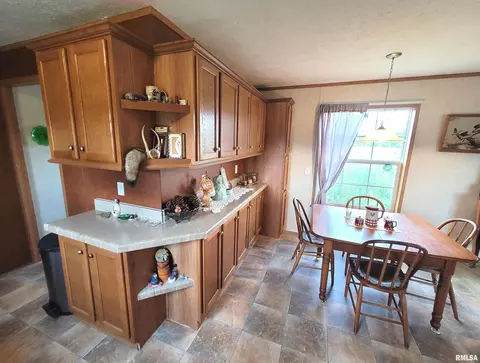 9105 Burkett Rd, Iuka, IL 62849 photo 11