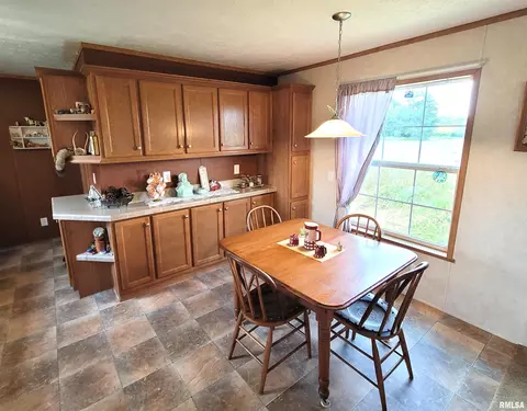 9105 Burkett Rd, Iuka, IL 62849 photo 9