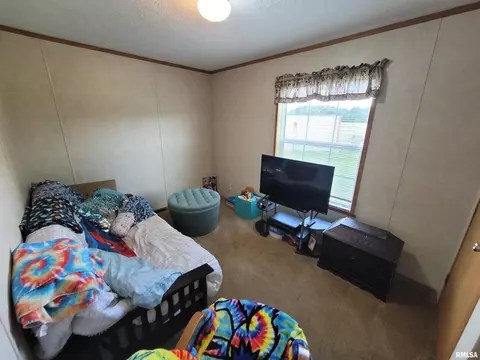9105 Burkett Rd, Iuka, IL 62849 photo 22