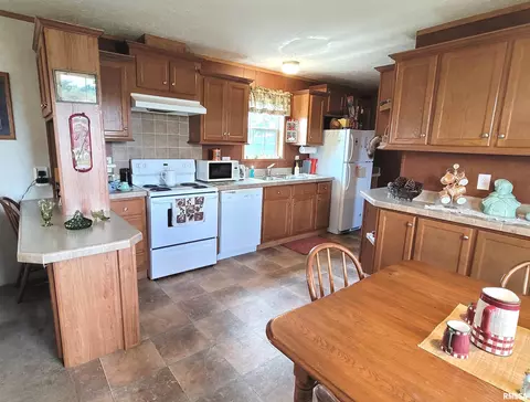 9105 Burkett Rd, Iuka, IL 62849 photo 8