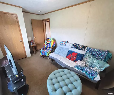 9105 Burkett Rd, Iuka, IL 62849 photo 23