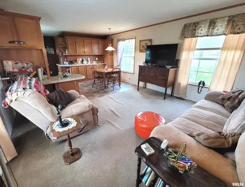 9105 Burkett Rd, Iuka, IL 62849 photo 6