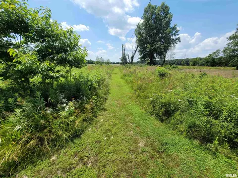 9105 Burkett Rd, Iuka, IL 62849 photo 30