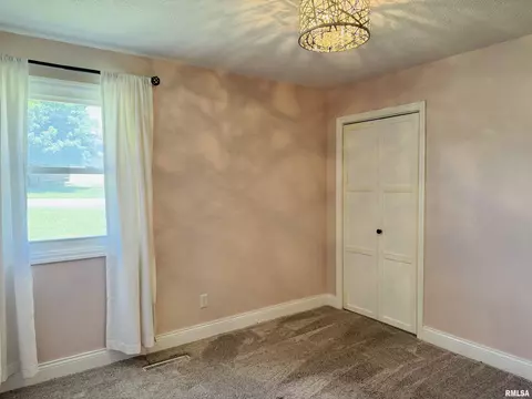 109 Division St, Anna, IL 62906 photo 18