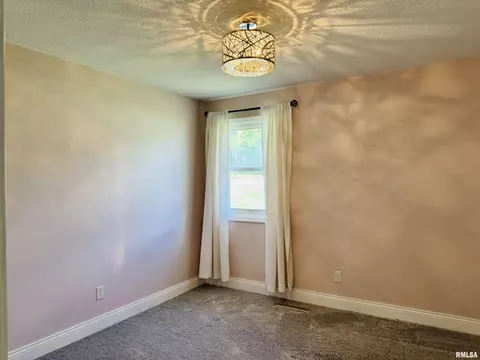 109 Division St, Anna, IL 62906 photo 17