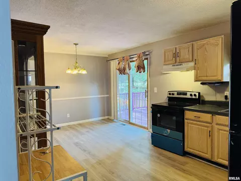 109 Young Ave, Anna, IL 62906 photo 10
