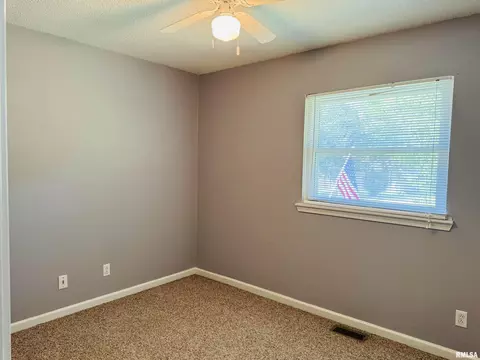 109 Young Ave, Anna, IL 62906 photo 16