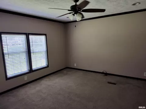 45 Davis Ridge Rd, Eldorado, IL 62930 photo 20