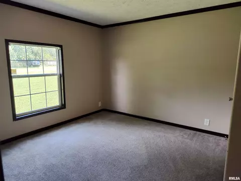 45 Davis Ridge Rd, Eldorado, IL 62930 photo 18