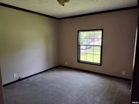 45 Davis Ridge Rd, Eldorado, IL 62930 photo 16