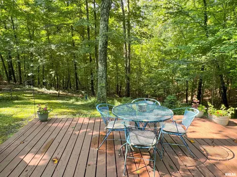 1125 Kaolin Rd, Cobden, IL 62920 photo 20