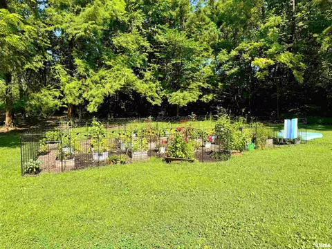 1125 Kaolin Rd, Cobden, IL 62920 photo 14