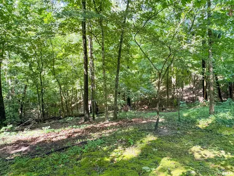 1125 Kaolin Rd, Cobden, IL 62920 photo 30