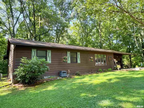 1125 Kaolin Rd, Cobden, IL 62920 photo 7