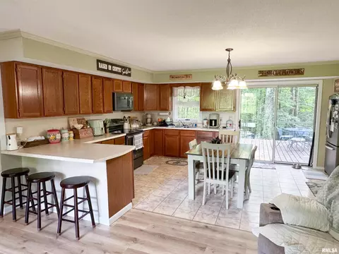 1125 Kaolin Rd, Cobden, IL 62920 photo 43