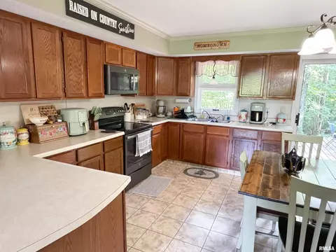 1125 Kaolin Rd, Cobden, IL 62920 photo 46