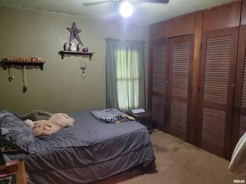 10192 E Davis Rd, Mount Vernon, IL 62864 photo 16