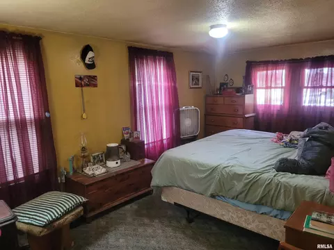 10192 E Davis Rd, Mount Vernon, IL 62864 photo 19