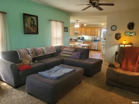 10192 E Davis Rd, Mount Vernon, IL 62864 photo 10