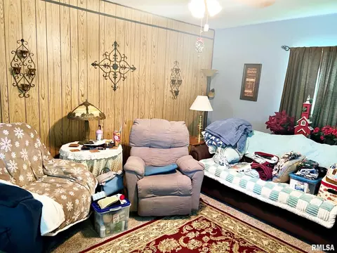 710 E 16th St, Metropolis, IL 62960 photo 14