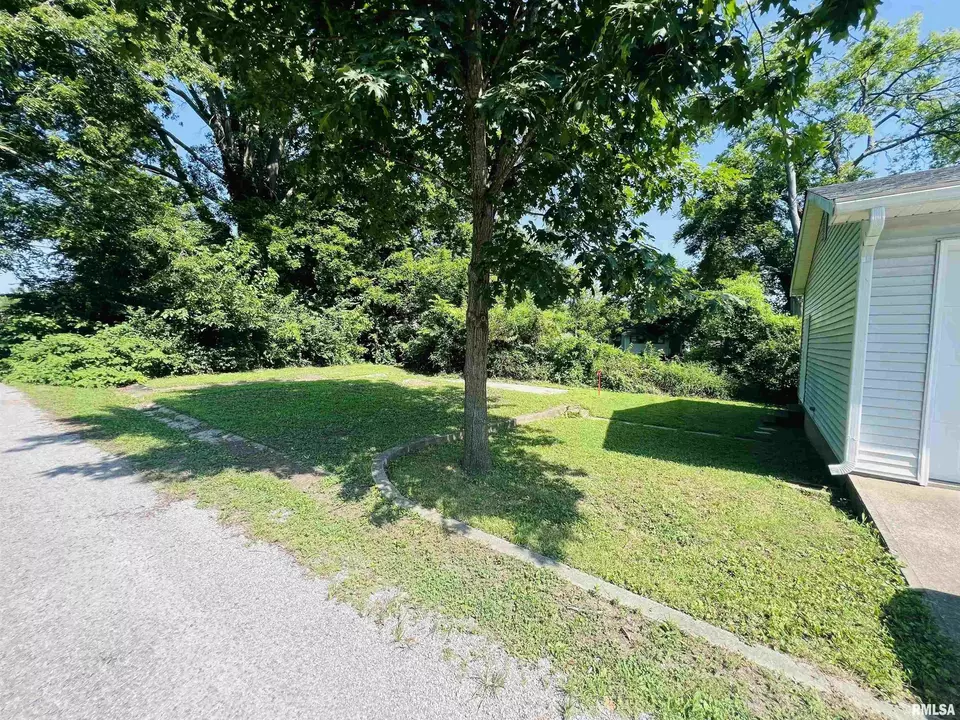 Exterior - 715 S Mckinley St, Harrisburg, IL 62946 photo 10 of 10