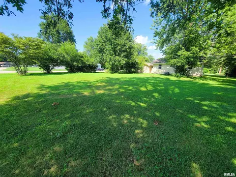 325 Campbell Ave, Flora, IL 62839 photo 49