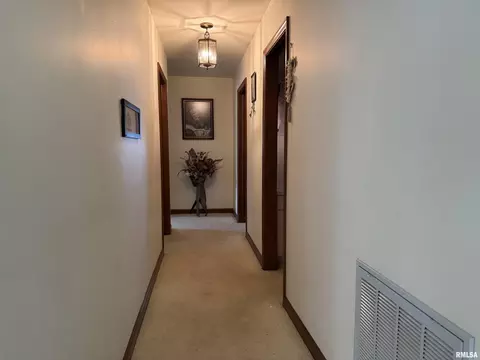 707 W Sylvia St, Christopher, IL 62822 photo 11