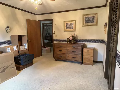 707 W Sylvia St, Christopher, IL 62822 photo 18