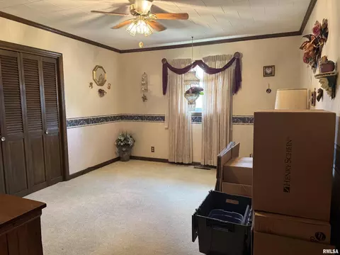 707 W Sylvia St, Christopher, IL 62822 photo 19