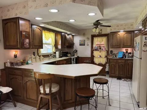 707 W Sylvia St, Christopher, IL 62822 photo 17