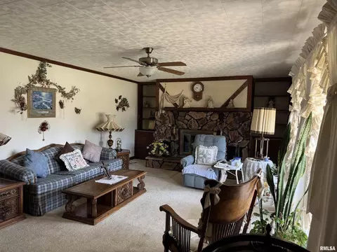 707 W Sylvia St, Christopher, IL 62822 photo 10
