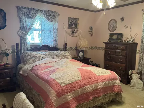 707 W Sylvia St, Christopher, IL 62822 photo 25