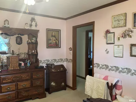 707 W Sylvia St, Christopher, IL 62822 photo 24