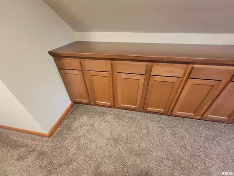 123 E Washington St, Flora, IL 62839 photo 65