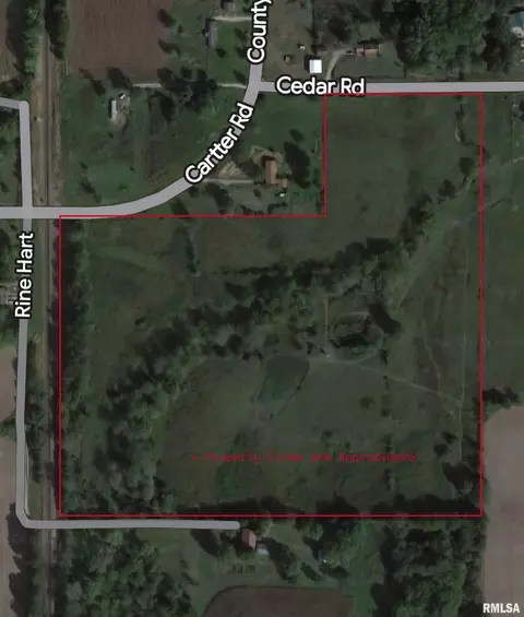 000 Cedar Rd, Kell, IL 62853 photo 2