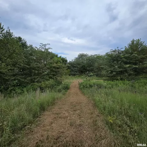 000 Cedar Rd, Kell, IL 62853 photo 12