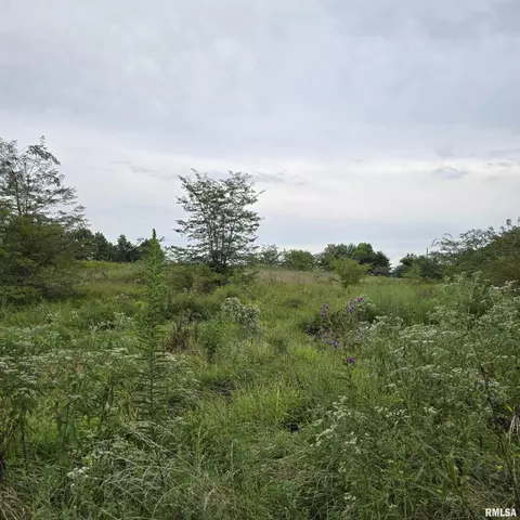 000 Cedar Rd, Kell, IL 62853 photo 10
