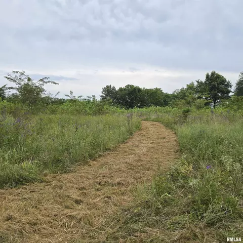 000 Cedar Rd, Kell, IL 62853 photo 13