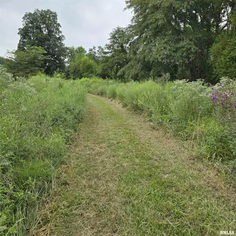 000 Cedar Rd, Kell, IL 62853 photo 9