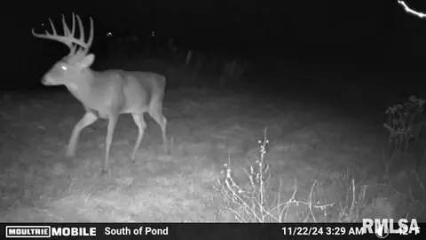 000 Cedar Rd, Kell, IL 62853 photo 26