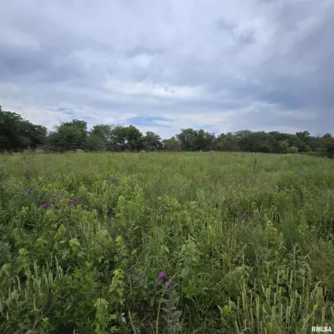 000 Cedar Rd, Kell, IL 62853 photo 22